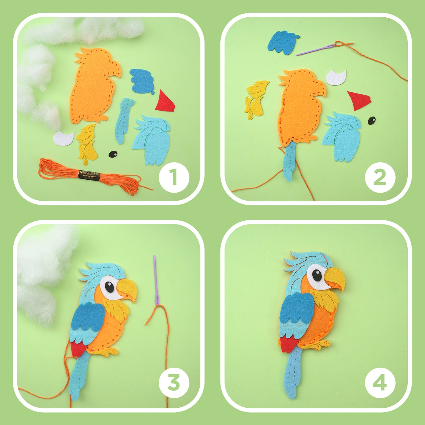 Birds